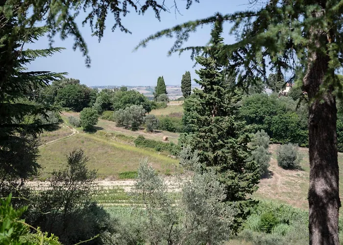 Terre Della Rinascita * Castelnuovo della Misericordia