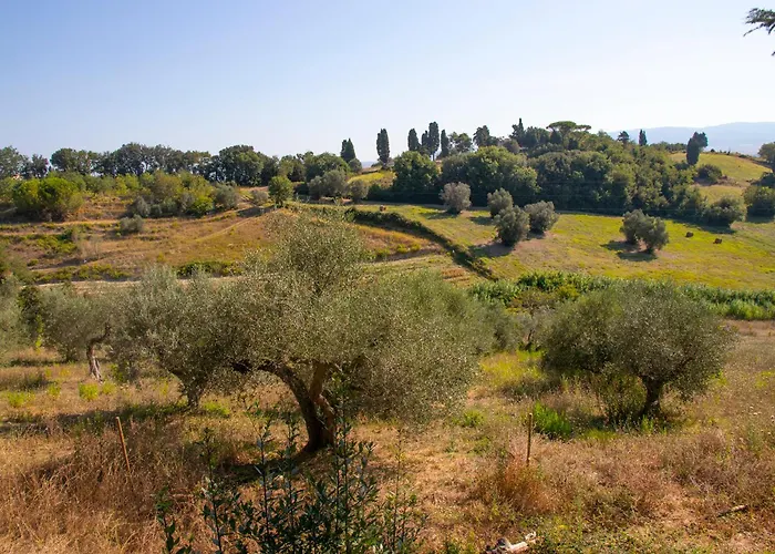בית חווה Terre Della Rinascita Castelnuovo della Misericordia
