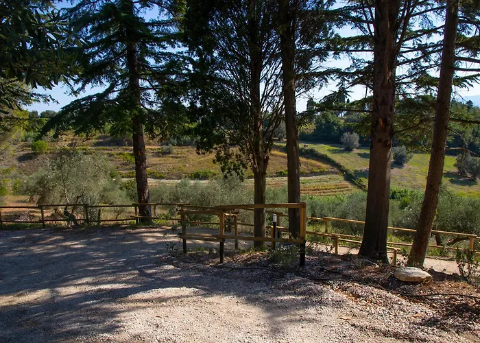 Terre Della Rinascita *