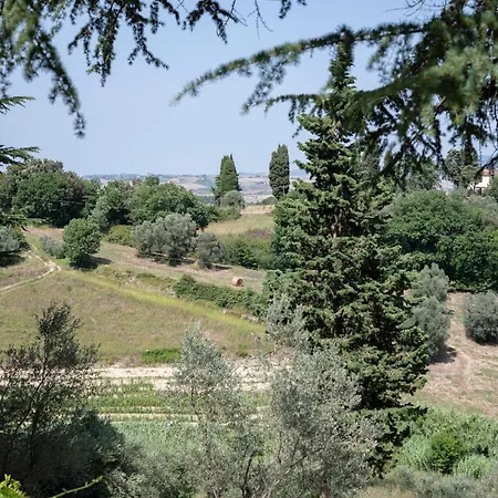 Terre Della Rinascita * Castelnuovo della Misericordia