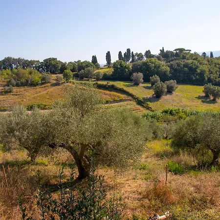 Alloggio per agriturismo Terre Della Rinascita Castelnuovo della Misericordia