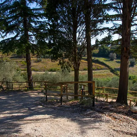 Terre Della Rinascita *