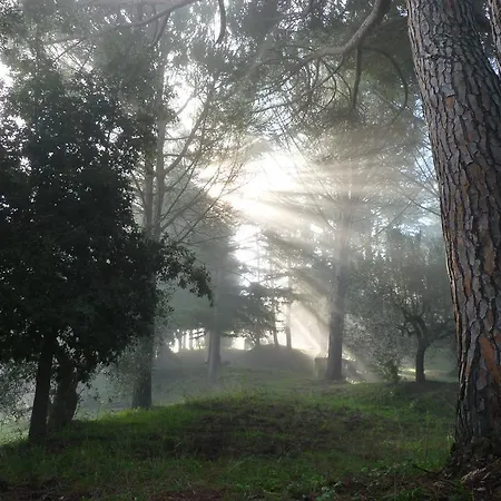 Terre Della Rinascita Alloggio per agriturismo Castelnuovo della Misericordia